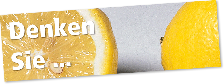 Die Bedeutung von Semantik für Suchmaschinen