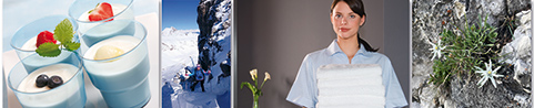 miet-domains für hotelangebote